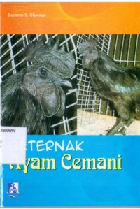 Beternak Ayam Cemani