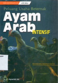 Peluang Usaha Beternak Ayam Arab Intensif