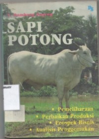 Sapi Potong